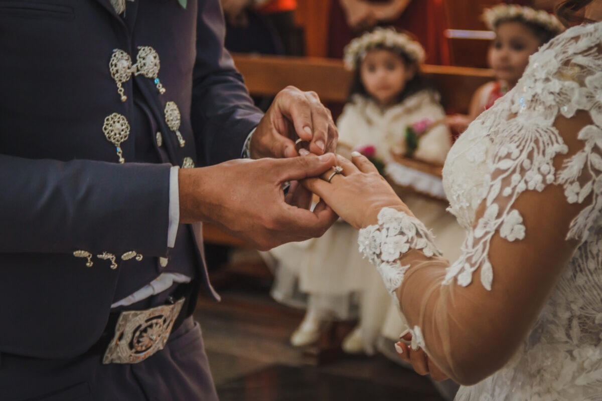 bodatest__nov23-9113